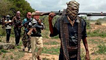 'Da duminsa: Yan Boko Haram sun kai hari, sun can suna ƙona gidaje a Womdeo