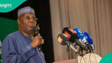 2027 election: 4 powerful forces behind Atiku named, full list emerges