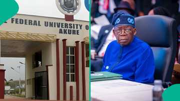 First-class Nigerian university graduate writes heartfelt public message to Tinubu over employment
