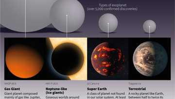 Webb begins hunt for the first stars and habitable worlds