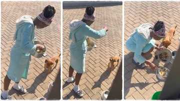 "Too delicious to resist": Lady eats food meant for dog, the animal watches in pain in viral video