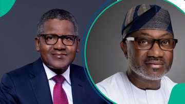 More billionaires join Dangote, Adenuga as report shows new list in 2025