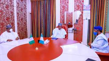 Bayan watsa musu kasa a ido, shugabannin majalisar dokoki sun ziyarci Buhari