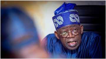 Tinubu hails influential octogenarian for attaining new milestone