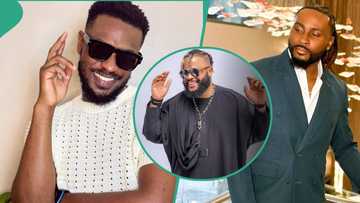 "He met his match": BBNaija's Whitemoney laughs hard, admits he enjoyed Adekunle and Pere’s fight, fans react