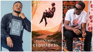 Producer and rapper! Vector collaborates with Masterkraft on new EP