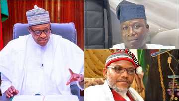 What Nigerian Constitution requires Buhari to do to Kanu, Igboho, other secessionists: NBA VP speaks up