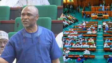 Za'a hukunta mamba dan PDP a majalisar wakilai saboda yin kiran a tsige Buhari