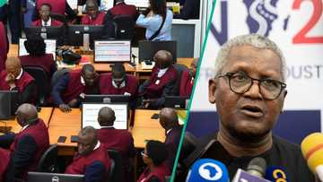 Dangote refinery IPO: Full list of banks and apps where you can buy shares