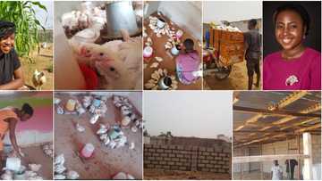 Social media is wowed as Nigerian lady who started poultry farm from 1 room becomes successful, shares her success secret a year later (photos)
