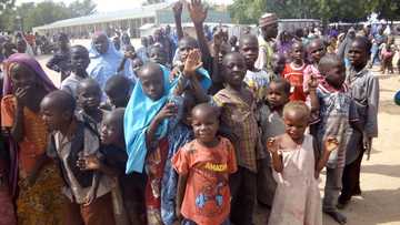 Kano, Kaduna, 10 other states yet to pass law to protect rights of children - UNICEF