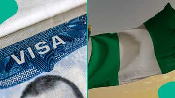 Full List: 6 ways to get US visa sponsorship from Nigeria