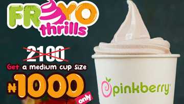 Pay Less, Enjoy More this July with these Pinkberry’s Mouthwatering Treats and Amazing Deals