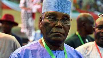 Mikano says it has nothing to do with Atiku, debunks report it is owned by ex-VP