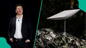 Elon Musk’s Starlink offers free one-month internet subscription, names who can benefit
