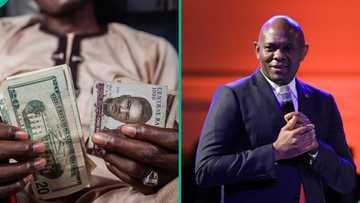 Elumelu speaks on expectations for naira as dollar crashes in FX markets