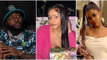 "Women stop bashing women": Sina Rambo’s estranged wife drums support for Davido’s baby mama Sophia