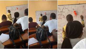 "We understand him better": Student teaches his coursemates statistics like lecturer, video goes viral