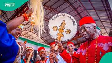 Moment Tinubu was crowned with "hero" title in Peter Obi's stronghold emerges, video trends