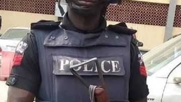 ‘Yan Sanda sun ci kasuwa; sun damke manyan masu laifi a Yobe da Legas