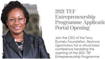 Tony Elumelu Foundation entrepreneurship programme application opens on January 1, 2021