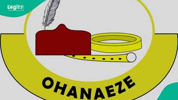 Cheers as Ohanaeze Ndigbo Enugu State chapter names new patron