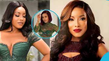 Joselyn Dumas causes a stir as she slays in a green see-through top showing her strapless bra