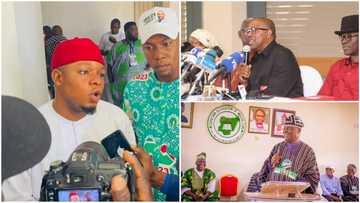 Why Peter Obi, Atiku should withdraw petitions against Tinubu's Victory, APC chieftain Obidike reveals