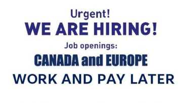 Sponsorship opportunity: We are hiring for Canada and Europe!