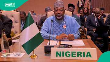 Agriculture in Nigeria: Tinubu's Minister Hailed for Reforms Boosting Food Production
