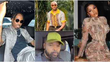 "It's time I swim with pigs, no lady ever took care of me": Ike replies Mercy Eke, slams Nedu, Pretty Mike