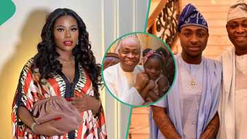 "N1m is not enough," Sophia tells Davido's dad in leaked chat over Imade's monthly welfare, fans react