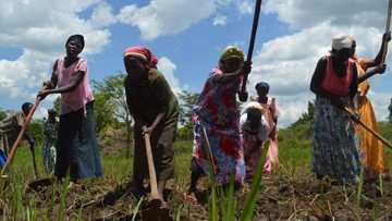 Gaskiya dokin karfe: Dalilai 5 da zasu sanya a koyi sana'ar hannu