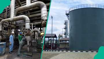 NMDPRA report: Dangote Refinery, imports overshadow Nigeria’s modular refineries in fuel supply