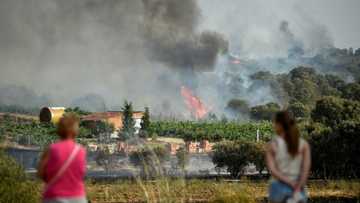 Europe heat sparks harmful ozone pollution, 'extreme' fire risk