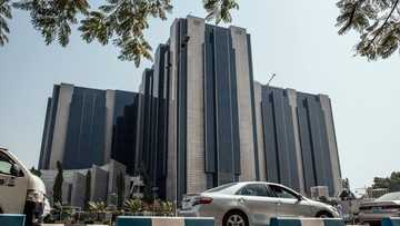 Name and shame: AMCON says it will publish list of Nigerians who are notorious debtors in January