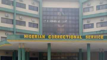 Security agents foil attempted jailbreak in Kano prison facility