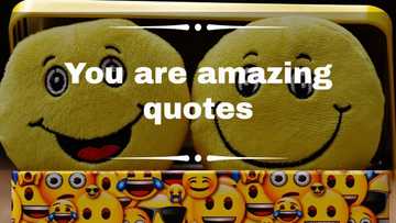 125+ you are amazing quotes to embrace your amazingness