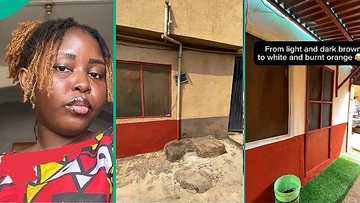 Tenant dragged mercilessly for repainting apartment's exterior with different colour, video trends