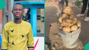 Man displays big bucket of potatoes he bought for N1,700 at Bauchi market, netizens marvel