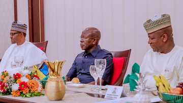 Sanata ya bayyana wanda ya yi sanadiyyar da APC ta rasa kujeru 35 a Zamfara