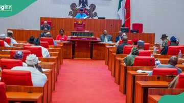 Adeola and Bichi’s synergy lauded in 2025 budget approval