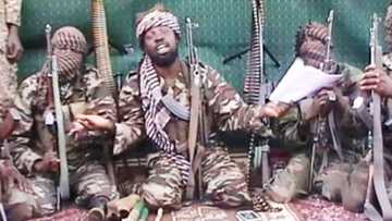 Shekau Gwarzo Ne: Dan Majalisa Ya Kori Mai Taimaka Masa Saboda Yabon Shekau