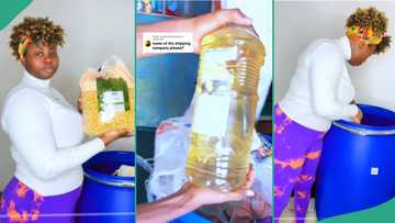 Lady who spent 428,000 to buy food and ship from UK to her family breaks silence after items arrived