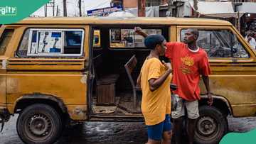 Man spotted working as bus conductor after agent scammed him of N15m for relocation to Canada