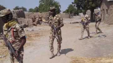 Sojoji Sun Ceto Mutum 17 Bayan Ragargazan Ƴan Boko Haram a Borno