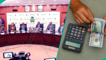 N1,353/$: Naira weakens at official market, CBN releases new exchange rates