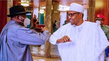 2023 presidency: Jonathan’s formal defection to APC being perfected - Group says, sends message to Buhari