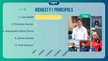 How much do F1 principals make? The 10 principals ranked by net worth