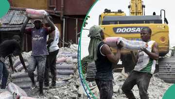 New $600m Nigerian cement giant to rival Dangote, BUA as industry competition heats up